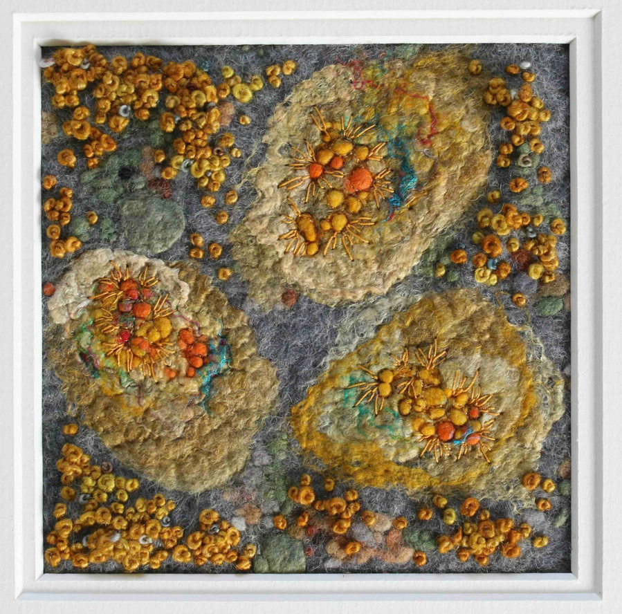 Inspired by lichen in the national park by Lynn Comley