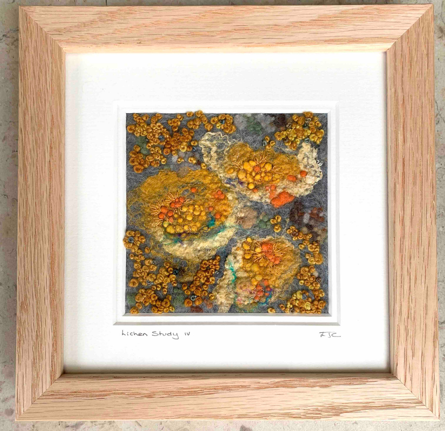 Lichen study IV by UpandDownDale textile artist Lynn Comley. Hand embroidered lichen textural work. lichens discovered on the West Coast of Scotland