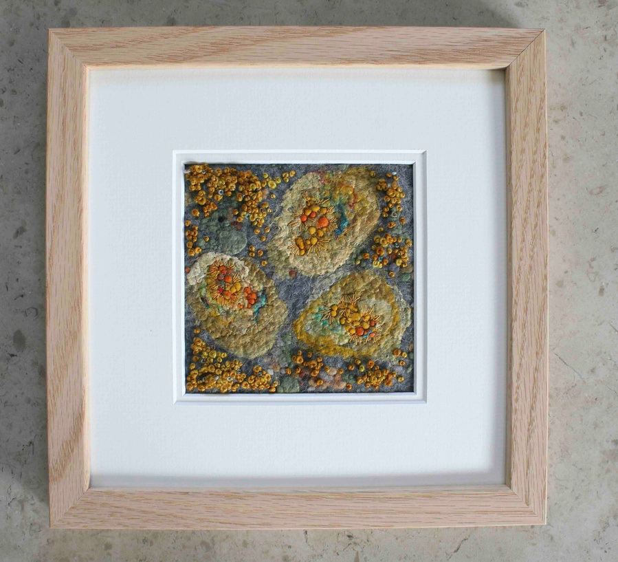 Lichen art by felt and embroidery artist Lynn Comley UK, USA national park art