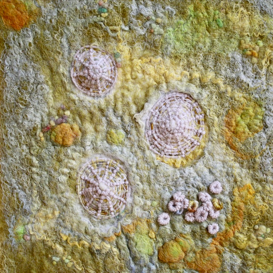 Scarborough artist Lynn Comley wet felted limpet study made entirely from wool 