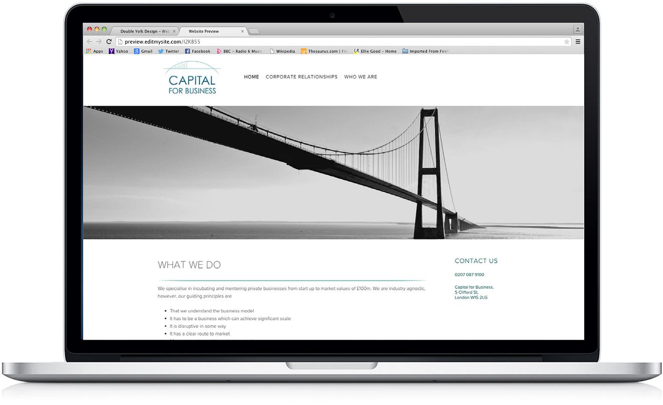 capital for business website design