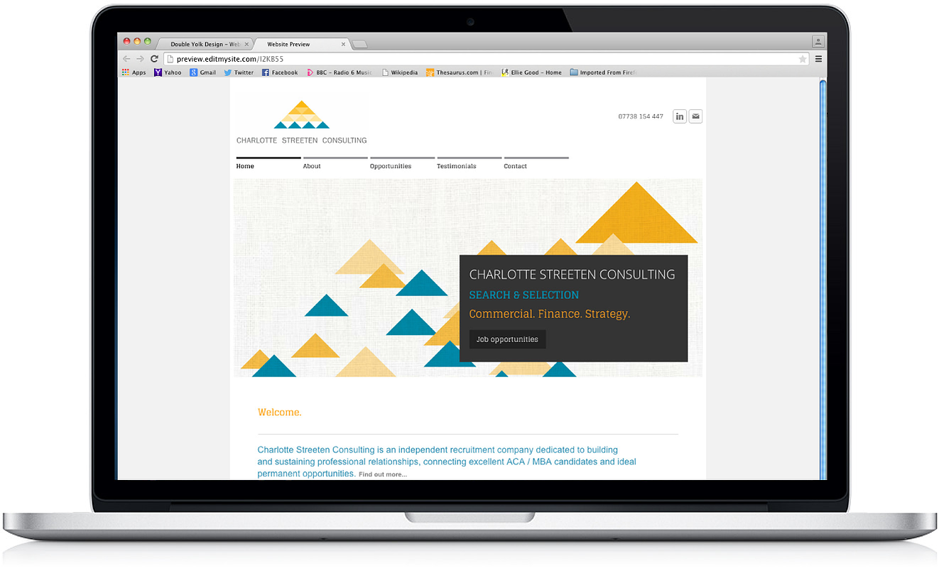 Charlotte Streeten Consulting web design