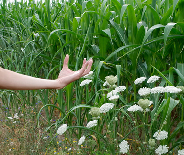 Portrait Photography in Nature meets EFT tapping for this empowering blend of visual and emotional healing. Emotional freedom techniques. Claire Farrell Photography. EFT Tapping. Your Body: A Landscape. Berlin, Germany. Lakes and natural spaces.