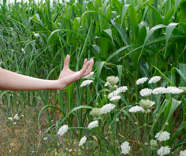 Portrait Photography in Nature meets EFT tapping for this empowering blend of visual and emotional healing. Emotional freedom techniques. Claire Farrell Photography. EFT Tapping. Your Body: A Landscape. Berlin, Germany. Lakes and natural spaces.