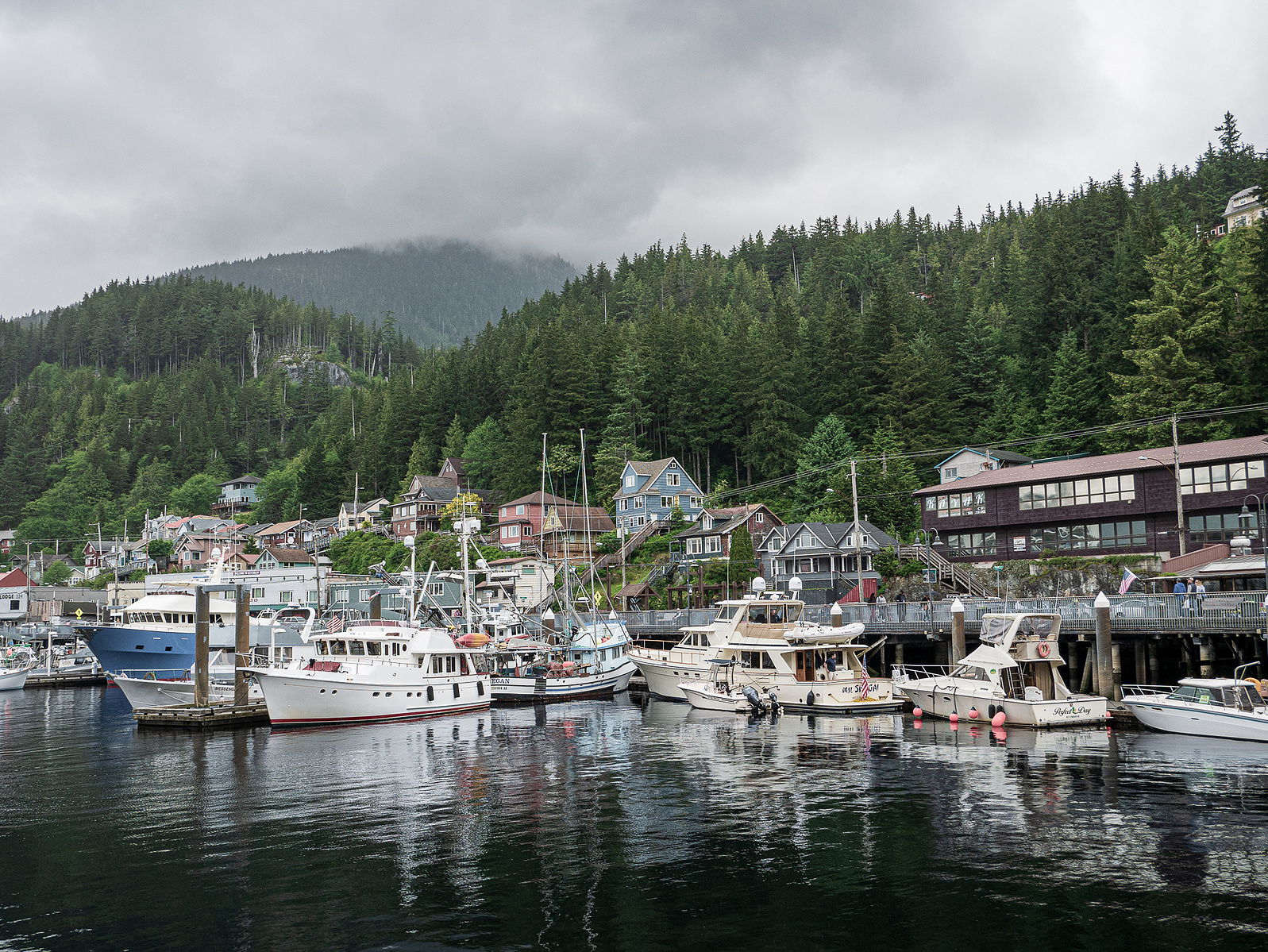 Boats moored in an Alaskan harbor with a backdrop of houses and dense forests on overcast day.