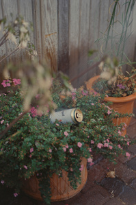 CONVERTED WITH PHOEBUS BY POST-FX