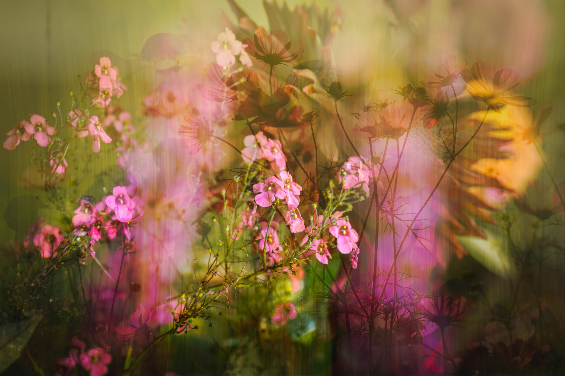 Experiments in Adobe Photoshop using layers and blending modes.