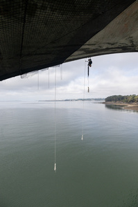 Travaux Acrobatiques opérés par Jarnias à Brest, France photo Bekker Thomas