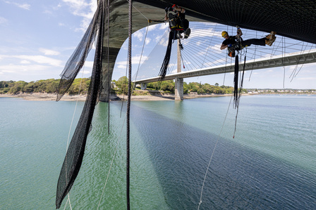 Travaux Acrobatiques opérés par Jarnias à Brest, France photo Bekker Thomas