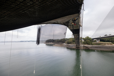 Travaux Acrobatiques opérés par Jarnias à Brest, France photo Bekker Thomas