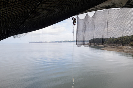 Travaux Acrobatiques opérés par Jarnias à Brest, France photo Bekker Thomas
