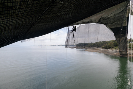 Travaux Acrobatiques opérés par Jarnias à Brest, France photo Bekker Thomas
