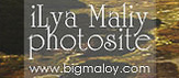 Ilya Maliy Photography