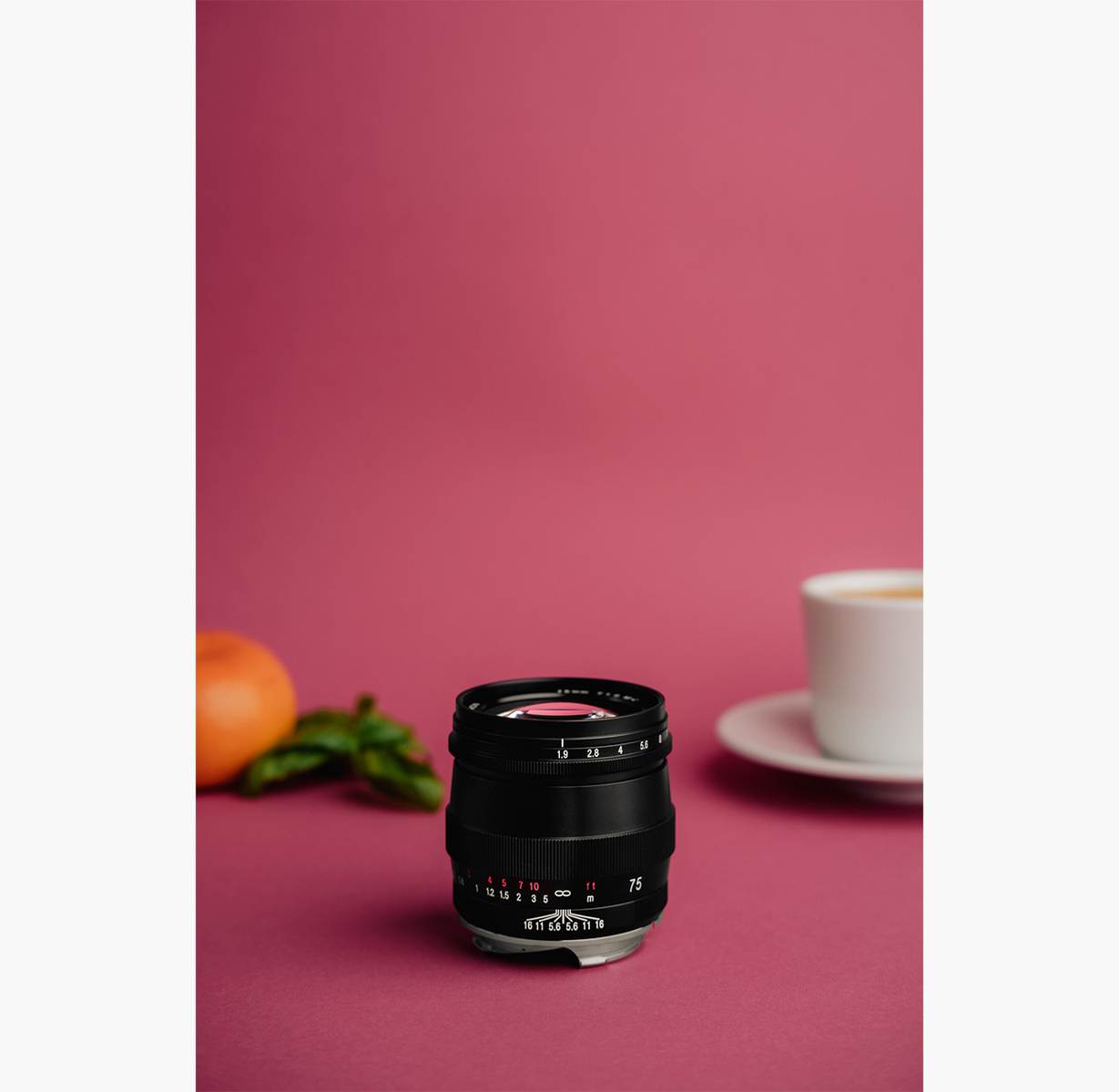 Voigtländer 75mm 1.9 Nokton VM