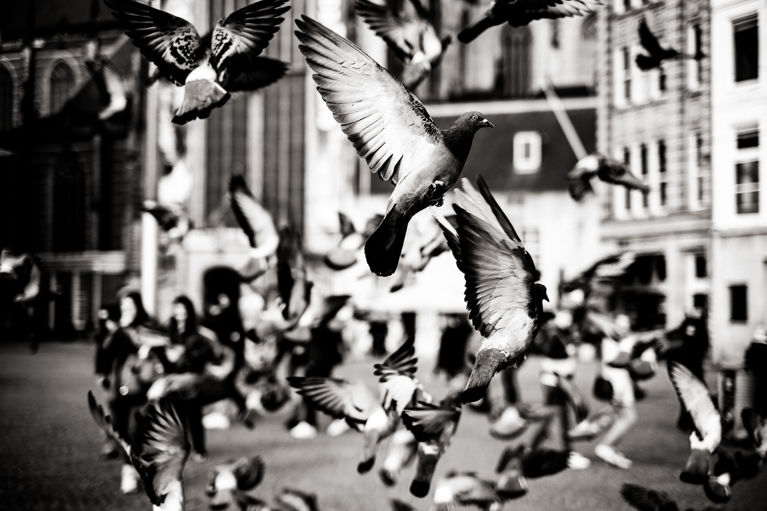 Street Photography Amsterdam