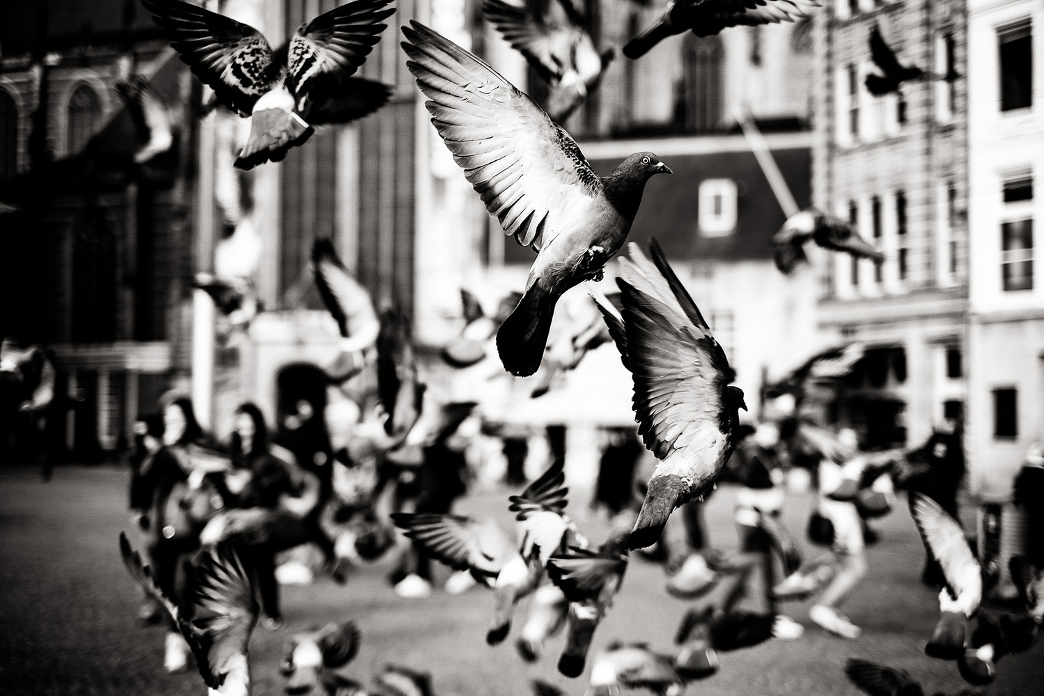 Street Photography Amsterdam