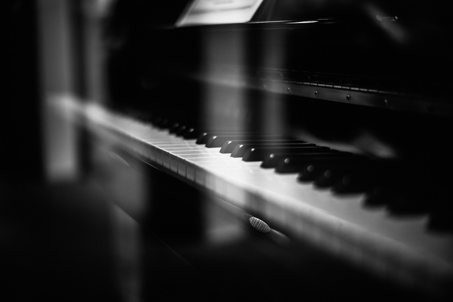 Voigtländer 50mm 1.5 Nokton VM Sample Image