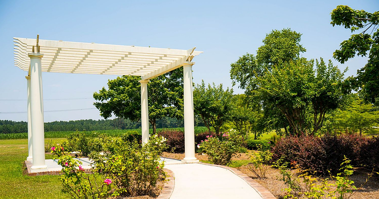 These packages may be tailored to meet your specific needs! 