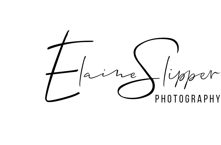 Elaine's Portfolio
