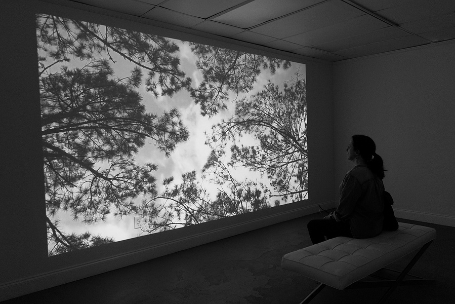 Person lost in a trance by a nature mirage, Sulfur Studios, Art on Bull, Savannah, GA, October 2024  
