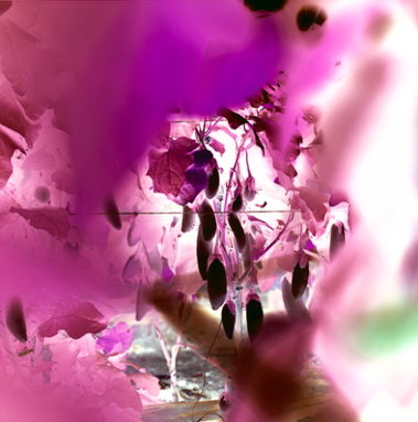 Images taken during the Darat Al Funun Foundation (DAFF) residency in Jordan. All rights reserved.
