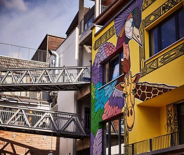 Buildings in Holzmarkt 25 showing casing artists work, a large bird with coloured feathers and a giraffee have been painted onto a yellow building