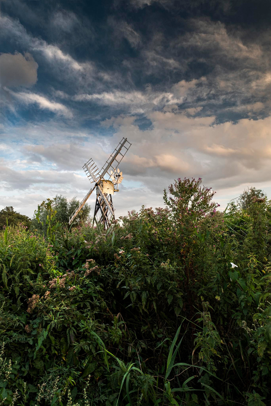 Norfolk broads windmill at how hill surrounded by green vegetation and fluffy white clouds at sunset as the sun illuminates the windmills sails