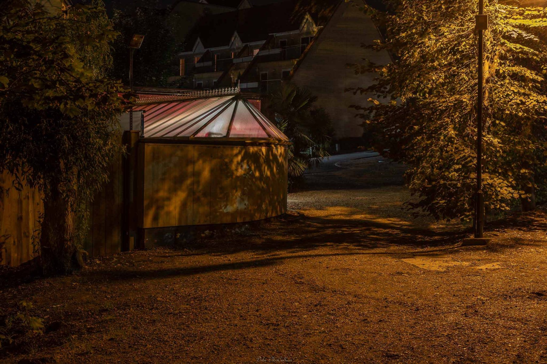 Zacks restaurant in Norwich illuminated by neon lights at night