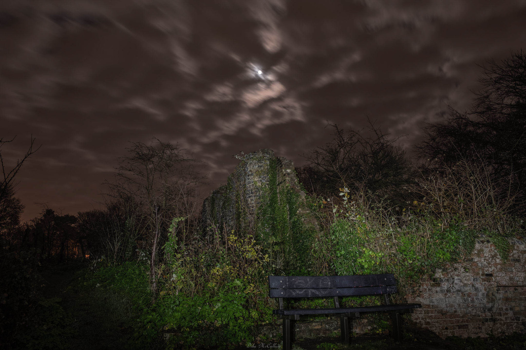 A bench at Kett's Heights historical location in Norwich with moonlight breaking through the clouds illuminated the bench and foliage