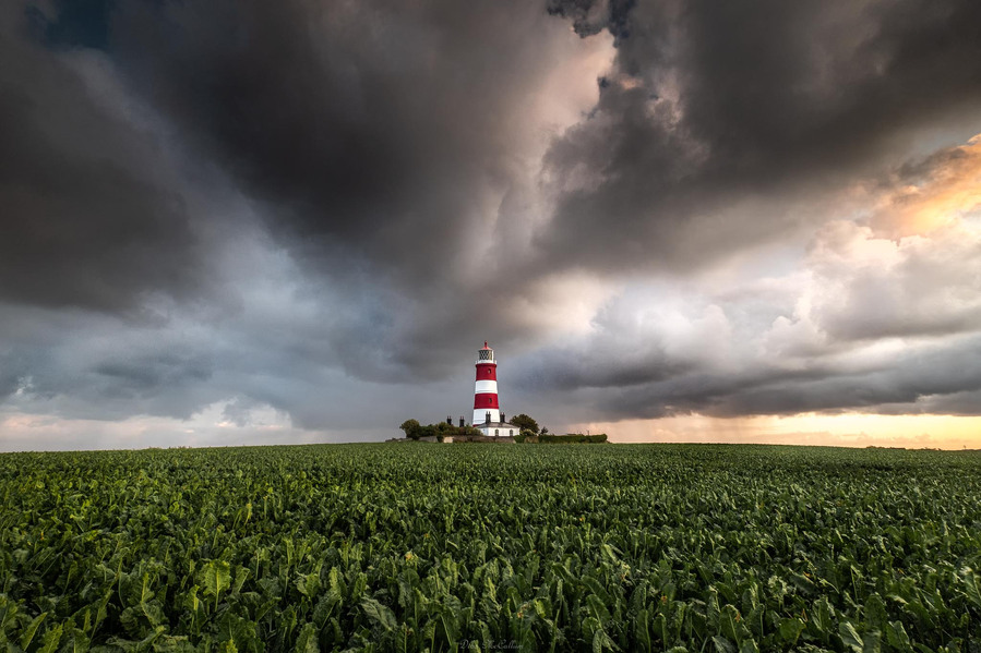 Storm clouds with the sunlight catching them at sunset with very dark textures moving through the sky above the red and white lighthouse of Happisburgh in Norfolk with the green cops showing in the foreground