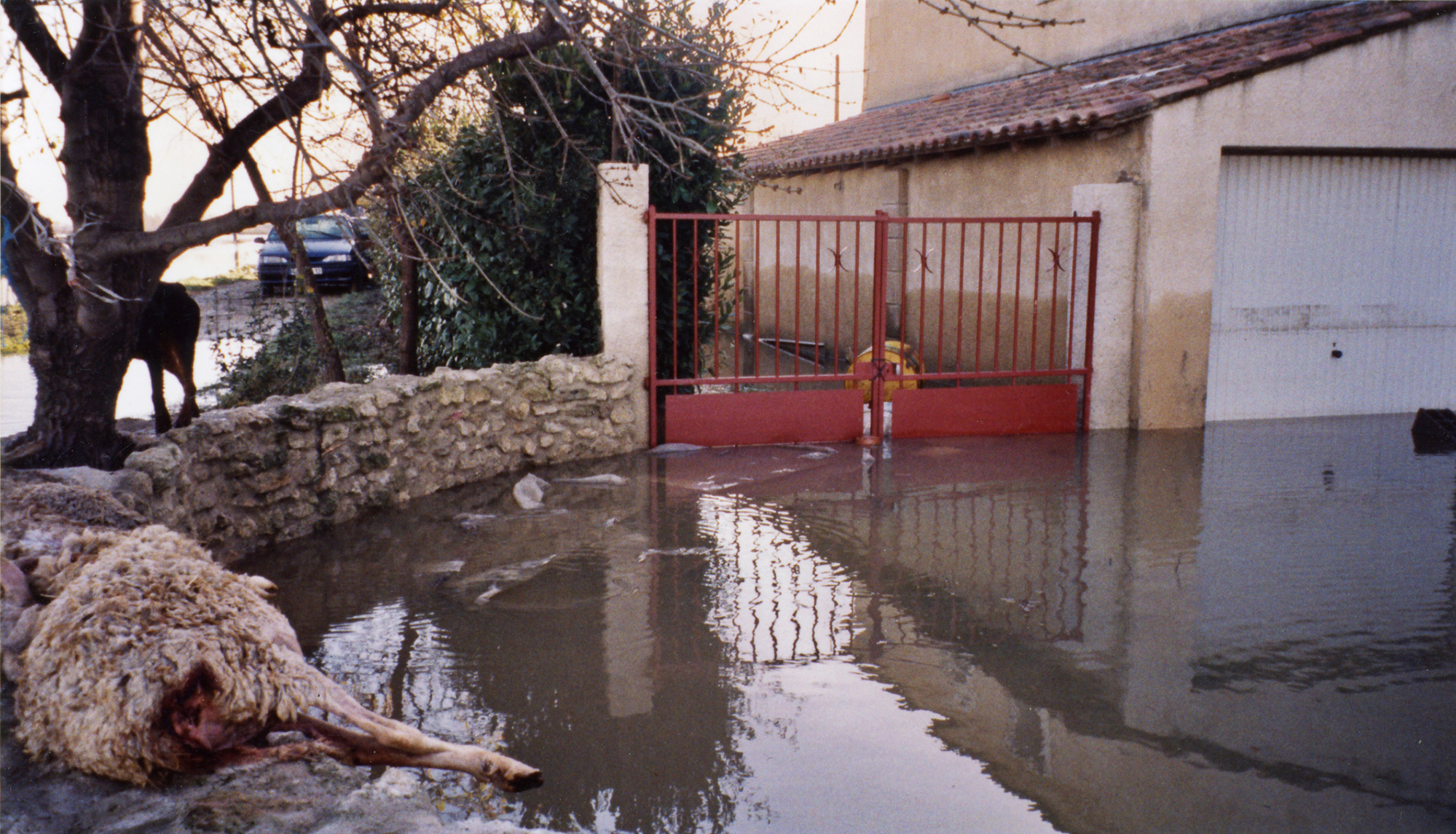 Inondation 2003 Arles, Photographie d’archive de Mme Pilia