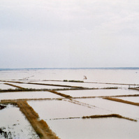 Inondation 2003 Saint-Gilles, Photographie d’archive de Mr Barbier