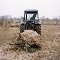 Inondation 2003 Arles, Photographie d’archive de Mme Evelyne G.