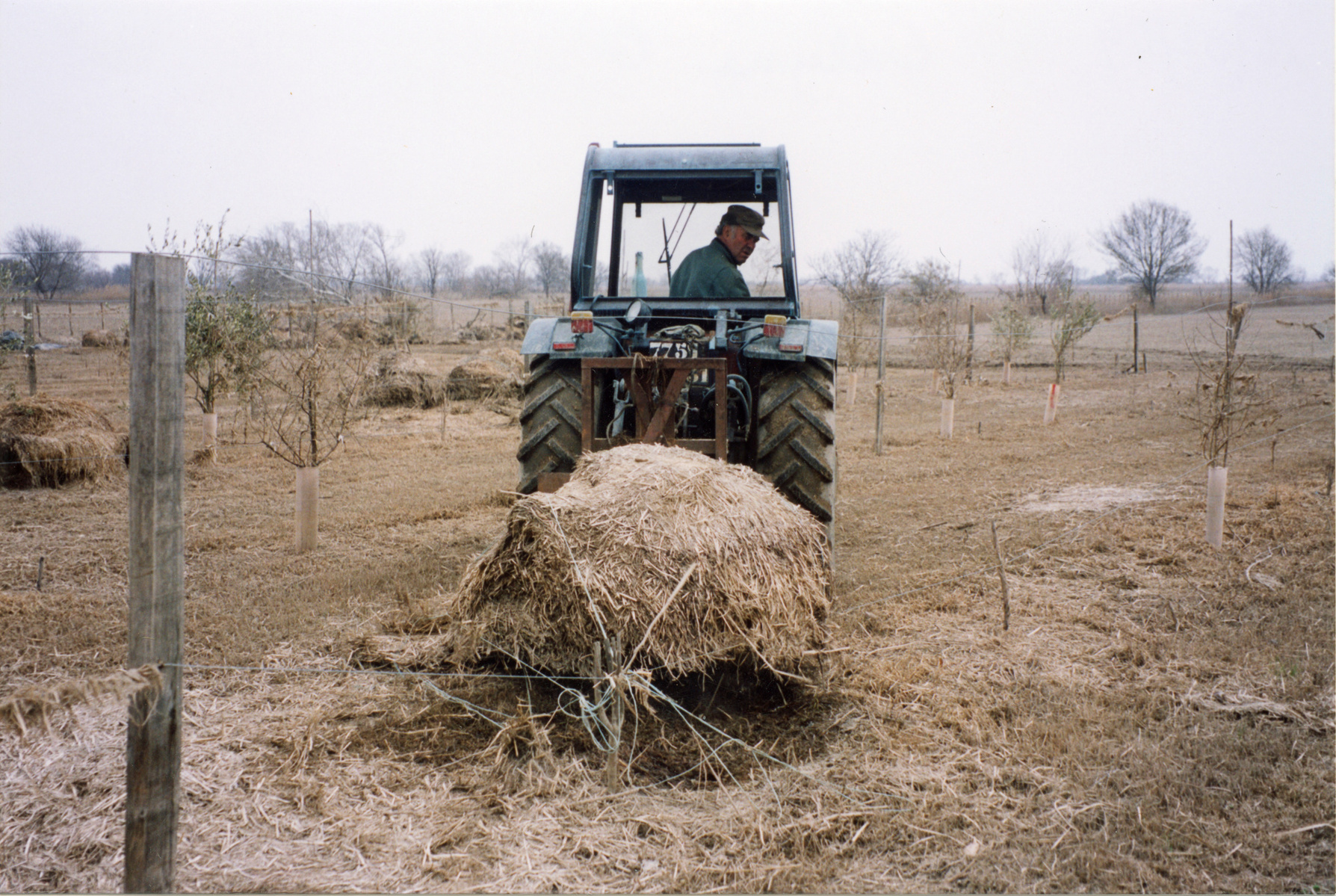 Inondation 2003 Arles, Photographie d’archive de Mme Evelyne G.