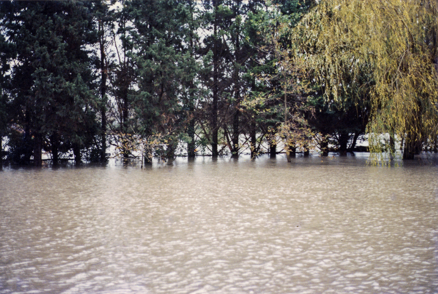 Inondation 2003 Saint-Gilles, Photographie d’archive de Mr Barbier