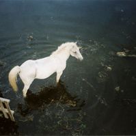 Inondation 2003 Arles, Photographie d’archive de Mme Evelyne G.