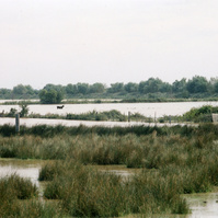 Inondation 2003 Arles, Photographie d’archive de Mme Evelyne G.