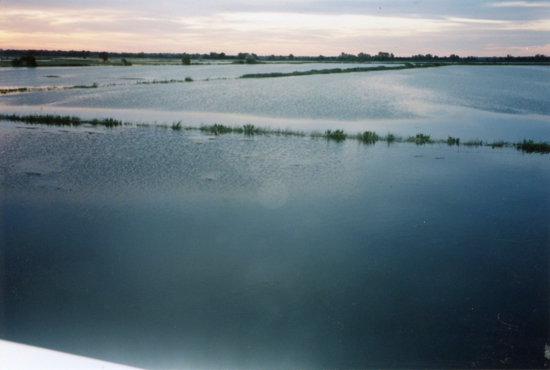 Inondation 2003 Arles, Photographie d’archive de Mme Evelyne G.