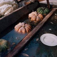 Inondation 2003 Arles, Photographie d’archive de Mr Dumas