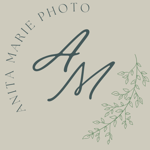 Anita Marie Gnistrup's Portfolio
