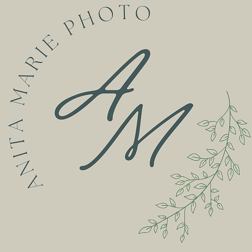 Anita Marie Gnistrup's Portfolio