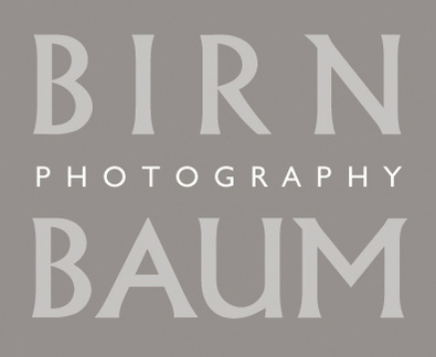 Meg Birnbaum's Portfolio
