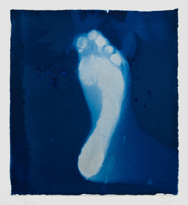cyanotype photography, Los Angeles gallery