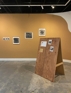 Santa Cruz museum of art and history, photography exhibition
