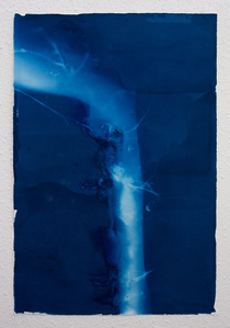 cyanotype photography, Los Angeles gallery