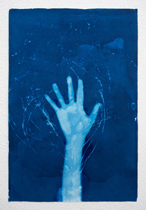 cyanotype photography, Los Angeles gallery
