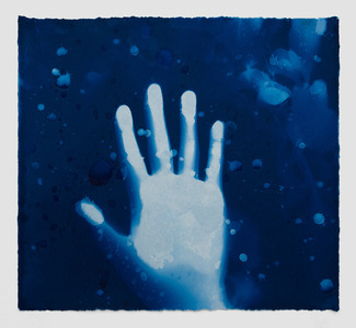 cyanotype photography, Los Angeles gallery
