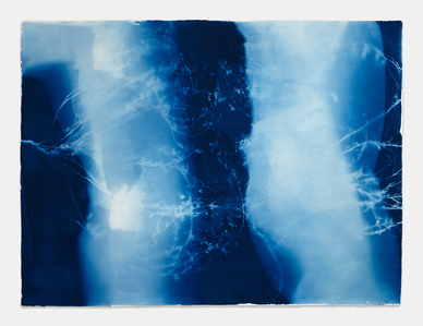 cyanotype photography, Los Angeles gallery