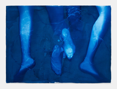 cyanotype photography, Los Angeles gallery