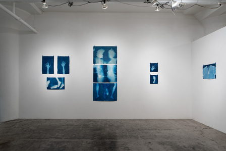 Los Angeles art gallery, cyanotype, photography